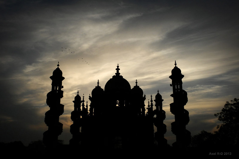 Gujarat landscape (9)